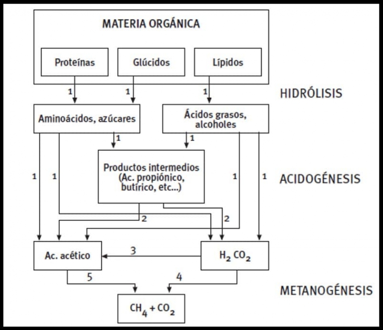 materia orgánica
